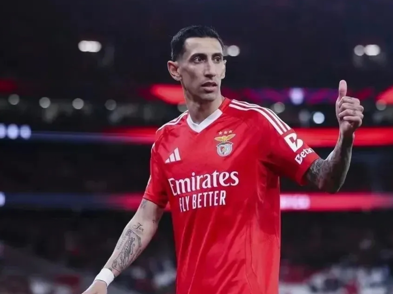 关于德国杯倒计时,本菲卡集结日门线救险,细节引发关注,气氛紧张,赛季目标并未改变的信息 关于德国杯倒计时,本菲卡集结日门线救险,细节引发关注,气氛紧张,赛季目标并未改变的信息